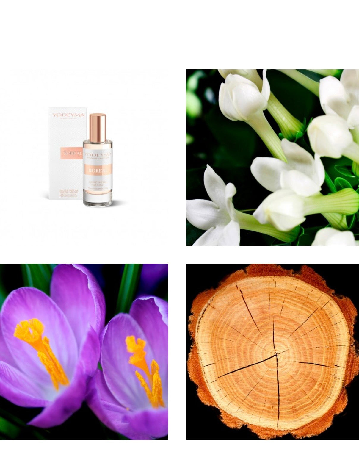 Boreal
Eau de Parfum 15ml.