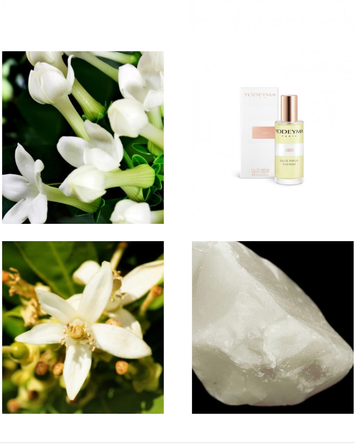Iris
Eau de Parfum 15ml.