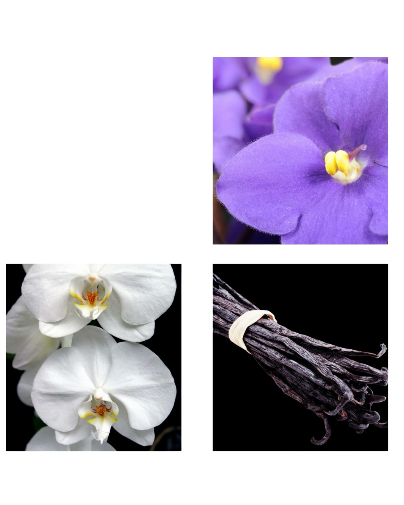 Harpina
Eau de Parfum 50ml.