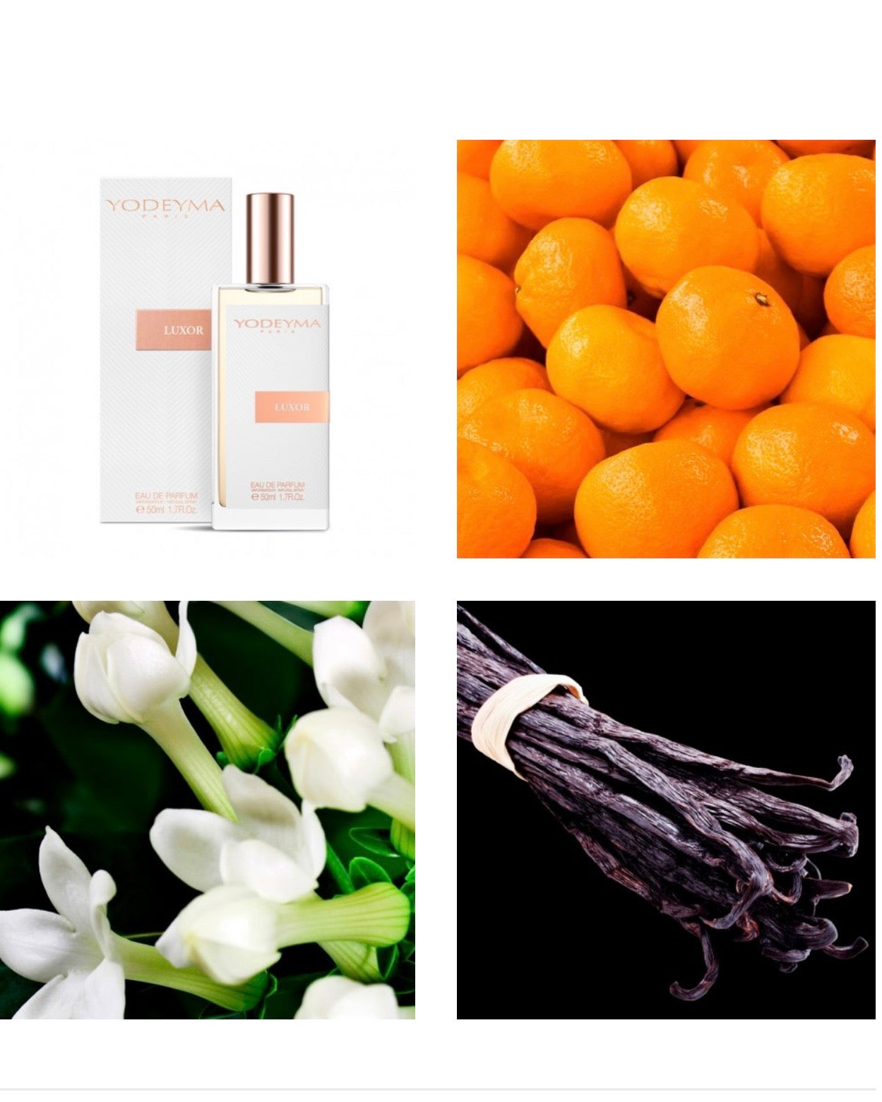 Luxor
Eau de Parfum 50ml.