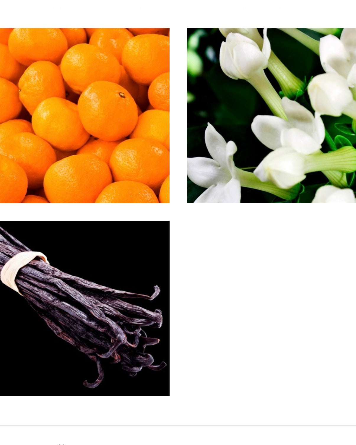 Luxor
Eau de Parfum 100ml.