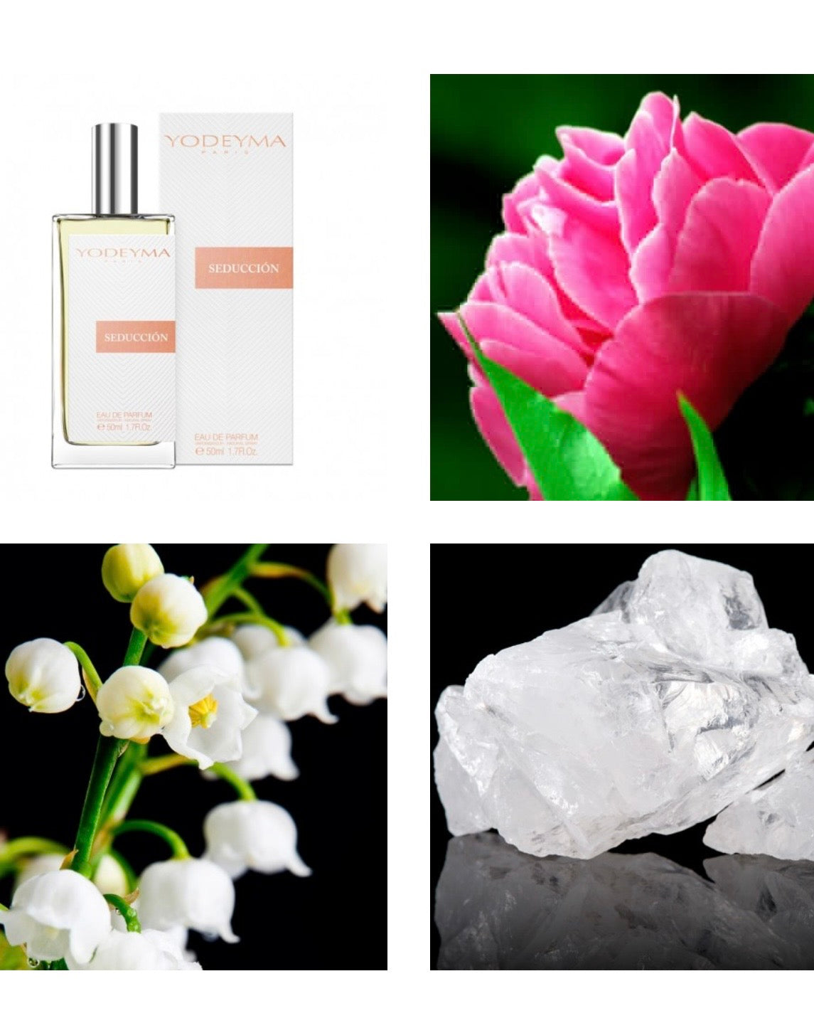 Seducción
Eau de Parfum 50ml.