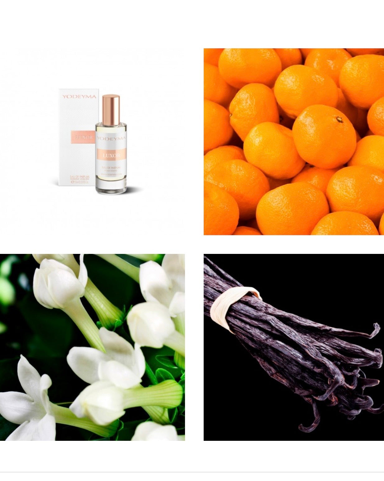 Luxor
Eau de Parfum 15ml.