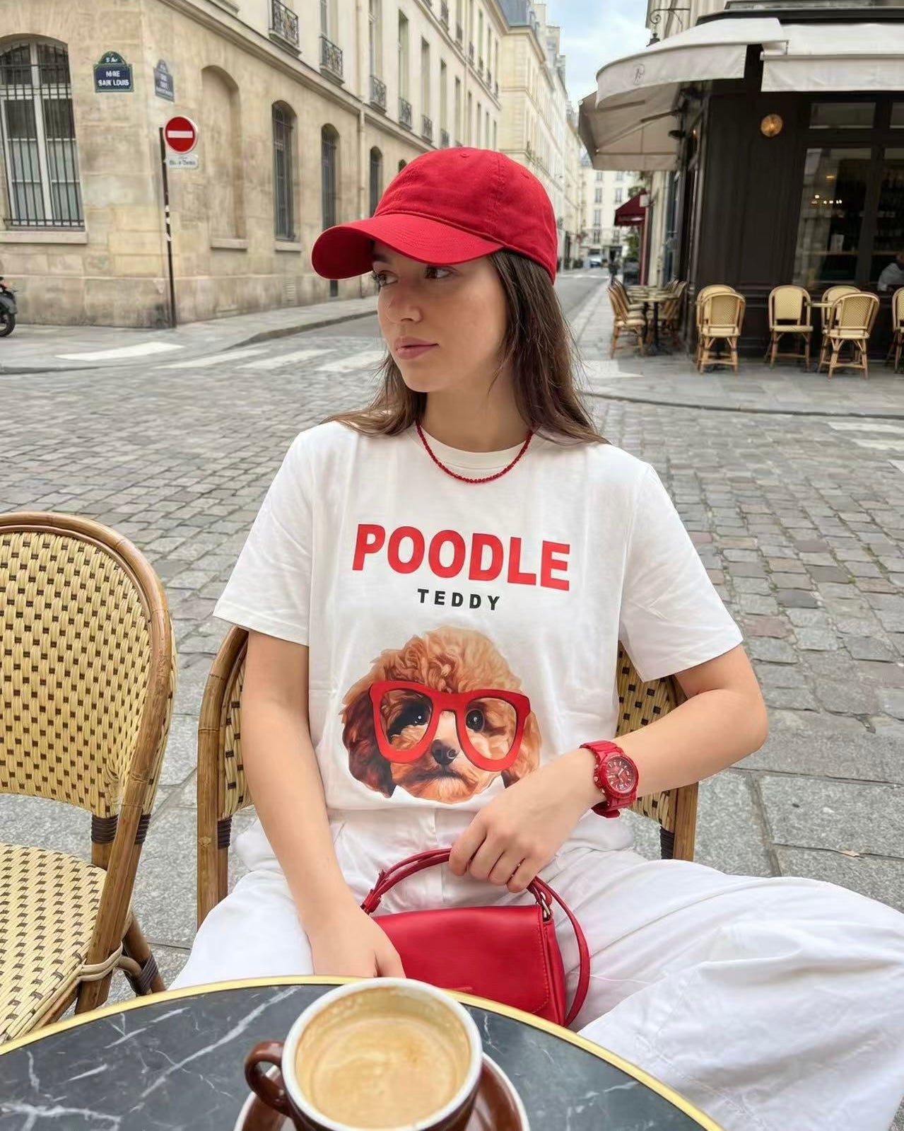 T-shirt Poodle Teddy