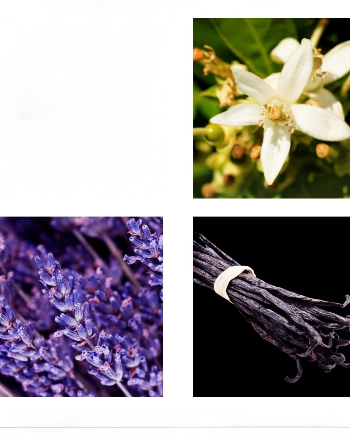 Instint
Eau de Parfum 50ml.